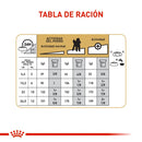 Comida Para Perro Adulto Royal Canin Poodle 1.5 Kg