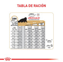 Comida Para Gato Adulto Royal Canin Feline Persian