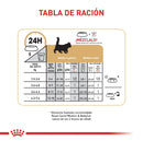 Comida Para Gato Royal Canin Feline Maine Coon Kitten X 4 Kg