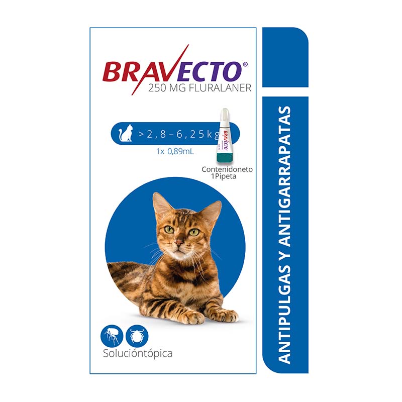 BRAVECTO SPOT ON CAT (2,8 KG - 6,2 KG)