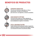 Comida Para Gato Royal Feline Gastrointestinal Kitten X 2 Kg