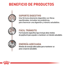 Comida Para Gato Royal Feline Fibre Response 2 Kg