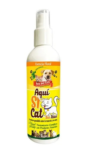 AQUÍ SÍ CAT X 240 ML (PETS AND CATS)