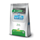 Comida Para Perro Vet Life Canine Renal Mini X 2 Kl