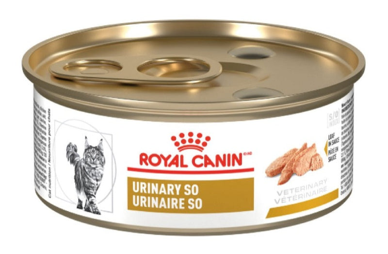 ROYAL CANIN FELINE URINARY LATA X 145 GR