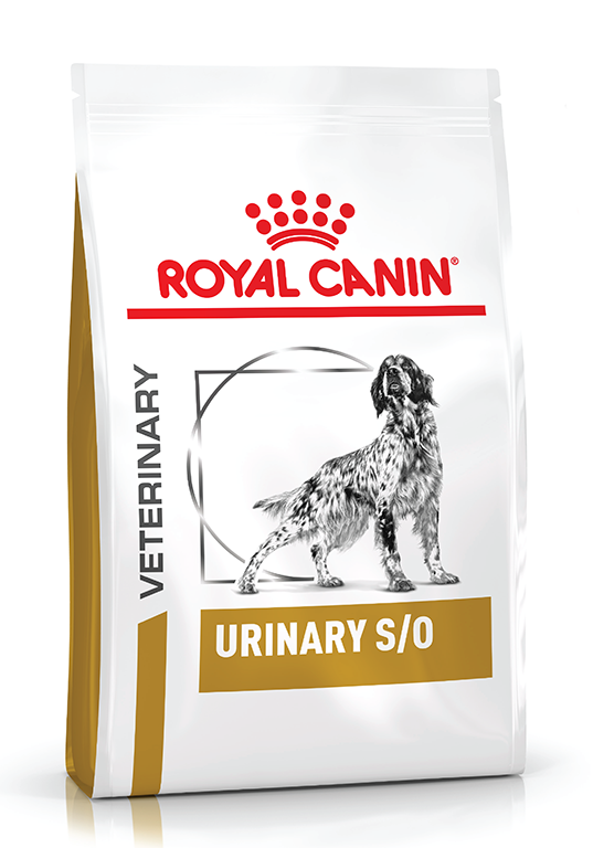 ROYAL CANIN URINARY S/O DOG