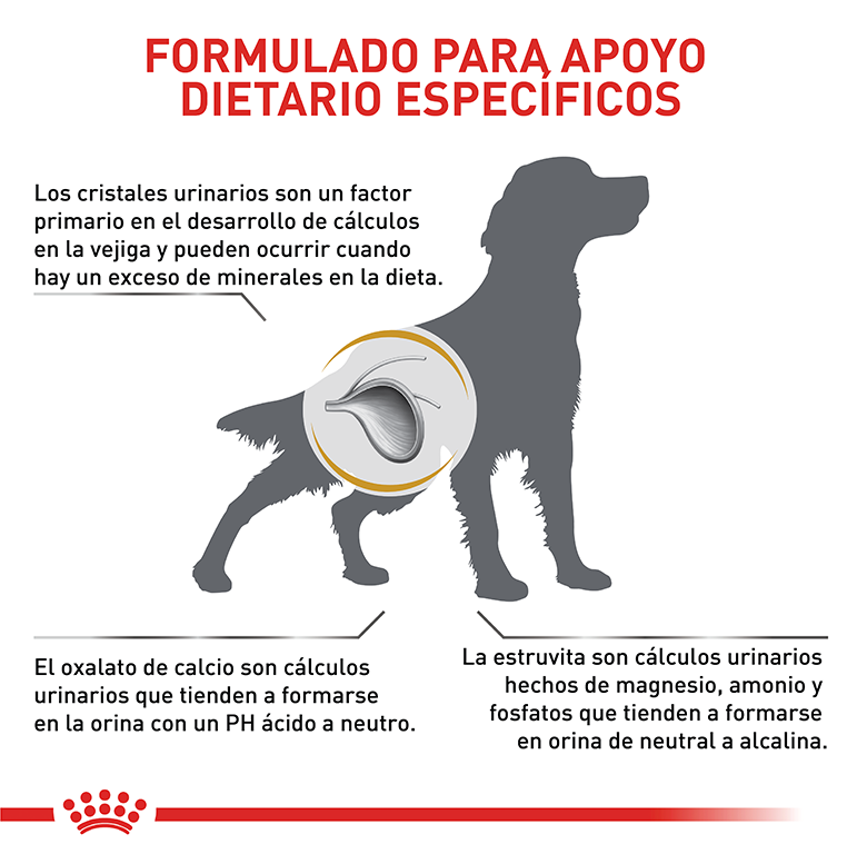 ROYAL CANIN URINARY S/O DOG