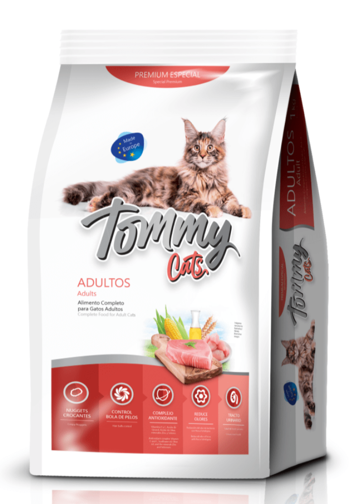 TOMMY CATS ADULTO
