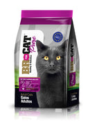 Comida Para Gato Adulto Br For Cat