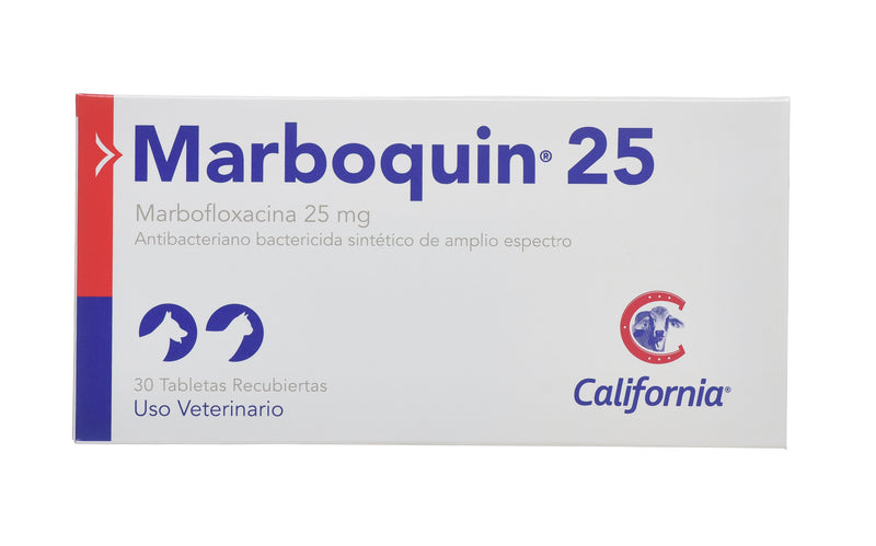 MARBOQUIN 25