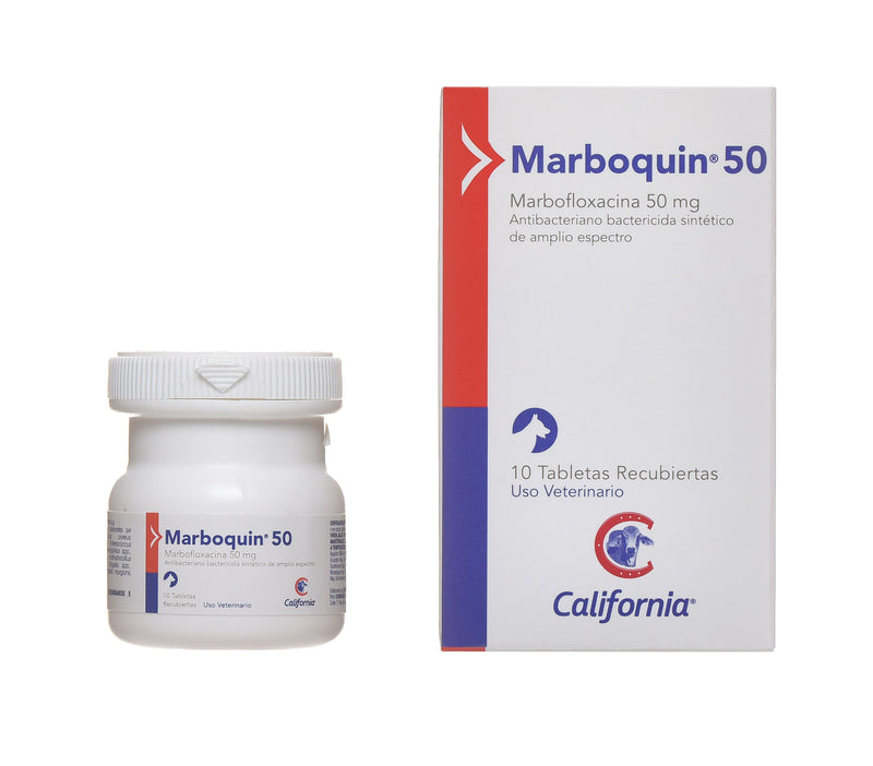 MARBOQUIN 50