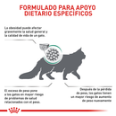 Comida Para Gato Adulto Royal Feline Satiety Support X 1.5 Kg